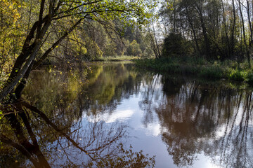 Fototapeta na wymiar Ziemeļsusēja river, calm water, summertime, reflection of trees, calm water, forest on riverside, Latvia, Latgale
