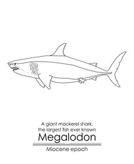 Fototapeta na wymiar The largest fish ever known Megalodon, a giant mackerel shark from Miocene epoch. Black and white line art, perfect for coloring and educational purposes.