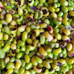 Heap of green black eyed cowpeas