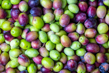 Fresh green olives on the white background