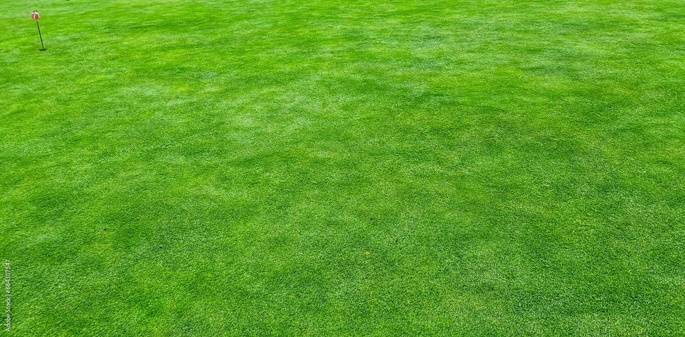 Wall mural photo of a beautifully manicured lawn