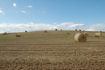 campo con pacas de paja