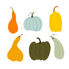 poster with a set of colorful pumpkins. rich autumn harvest of pumpkins. autumn gifts