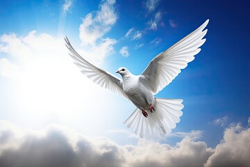 Fototapeta premium White dove flying as a symbol of peace and freedom.