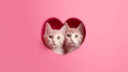 Foto op Plexiglas Two cute cats or kittens peeking out from hole of heart shape isolated on pink background. Copy space © Neira