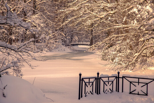Paysage d'hiver

