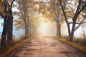 Jesienny mglisty krajobraz - obrazy, fototapety, plakaty
