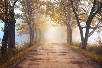 Poster Im Rahmen Jesienny mglisty krajobraz © Iwona
