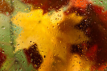 Autumn background - falling maple and oak leaves, window glass with rain drops, rainy day, season is fall.