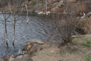 Autumn landscape of a lake	