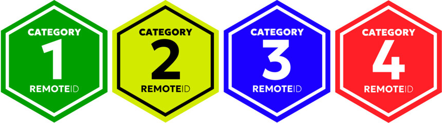 Remote Identification Category Labels for Drones