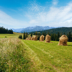 Summer mountain village outskirts with haystacks and Tatra range behind (Poland)