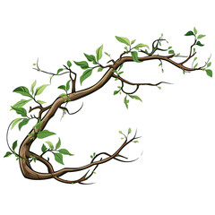 Fototapeta premium Jungle Branch With Plants. Isolated on a Transparent Background. Cutout PNG.