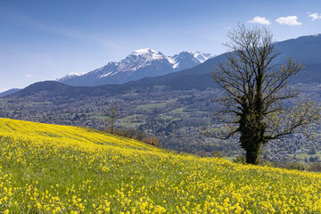 Massif de Belledonne (Isère - France - Alpes) 