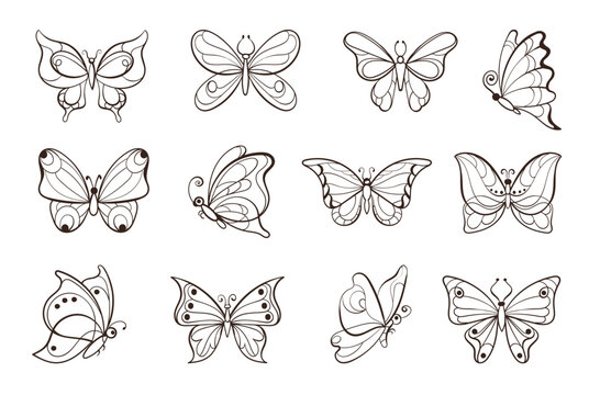 Linear patterned butterflies. Flying insects. Decorative creations. Hand drawn black contours. Simple organic shapes. Tropical bugs. Outline animals. Delicate wings. Splendid vector set