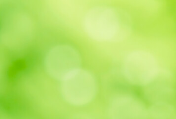 Bright green blurred sparkling bokeh background