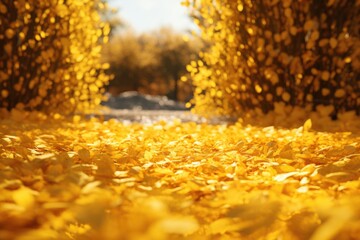 A picturesque scene of a field filled with yellow leaves on a sunny day. Perfect for capturing the...