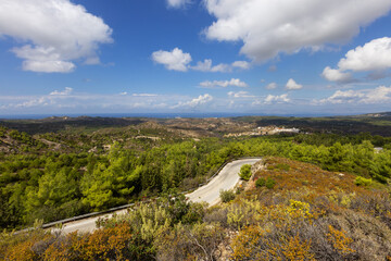 Fototapeta na wymiar Inland landscape on the island of Rhodes. Wooded hills and roads leading between low forests.