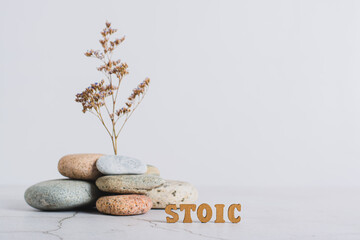 Concept stoicism word made from letters on a background of dried flowers in stones on a gray