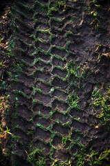 Car tread mark on soil with pressed green grass - 684337785