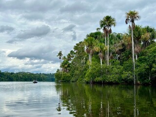 Fototapeta na wymiar Sandoval lake of tambopata reserve in Peru with sustainable tourism