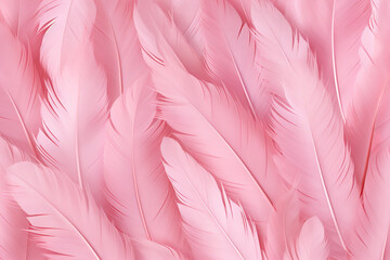 Pink feather pattern