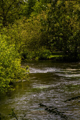 English river in the Summer, portrait - 684343906