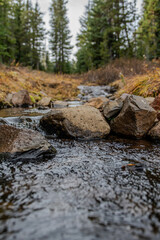 Creek in the forest, fall 