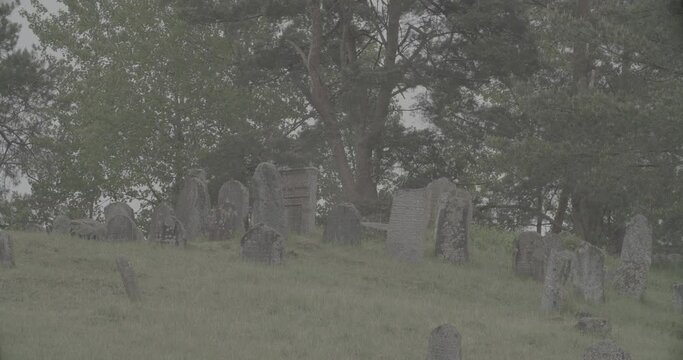 Old ancient Jewish cemetery in summer spring day. Druya, Belarus. green grass and many ancient stones. Headstone Headstones Tombstones jewish grave, clog2, clog, canon c70 c log 2.