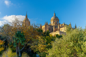 View of the Salamanca Cathedral from the Calisto and Melibea garden on a sunny day.