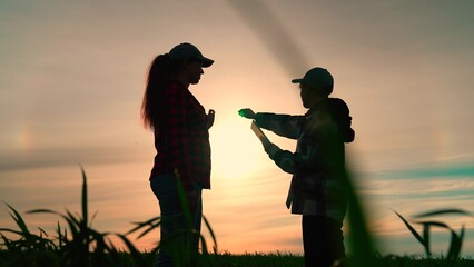 Two farmers are working in field. Business people silhouette outdoors. Agricultural industry using digital technologies, business concept. Agribusiness. Partners, Growing vegetables, farmers teamwork