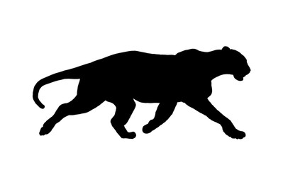 silhouette of jaguar, panther - vector illustration