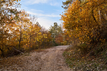 Autumn at Monte Livata, Monti Simbruini Natural Regional Park