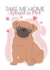 Template with pet adoption promotion. Adopt a Pet banner with cute dog ant text. Vector cartoon illustration for flyer design, web pages.