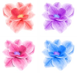 set flowers pink red blue lilac