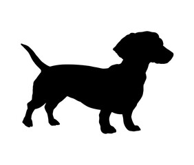 dachshund silhouette vector illustration