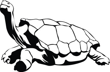Cartoon Black and White Isolated Illustration Vector Of A Walking Tortoise with Extended Stretched Neck