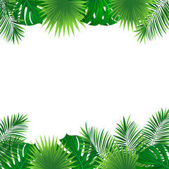 Tropical frame with exotic jungle plants, palm leaves, monstera and place for text. Foliage vector background. tropic design for travel, summer holiday, vacations card and banners.