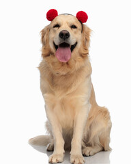 Fototapeta premium golden labrador retriever dog wearing tassels headband sticking out tongue