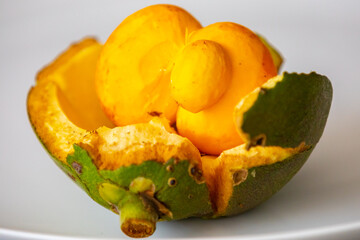 Typical ripe pequi fruit (caryocar brasiliense) in fine details and selective focus. Typical fruit from the Brazilian cerrado bioama.