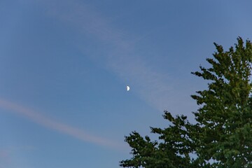 moon in the sky