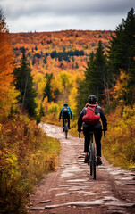Obraz premium Wellness and sport activity in autumn, Two cyclists riding along an autumn forest road, back view