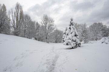 Winter Landscape of South Park in city of Sofia, Bulgaria