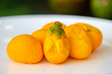 Typical ripe pequi fruit (caryocar brasiliense) in fine details and selective focus. Typical fruit from the Brazilian cerrado bioama.