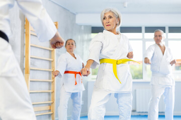 Diligent old man attendee of karate classes practicing kata standing in row with others in sports hall © JackF