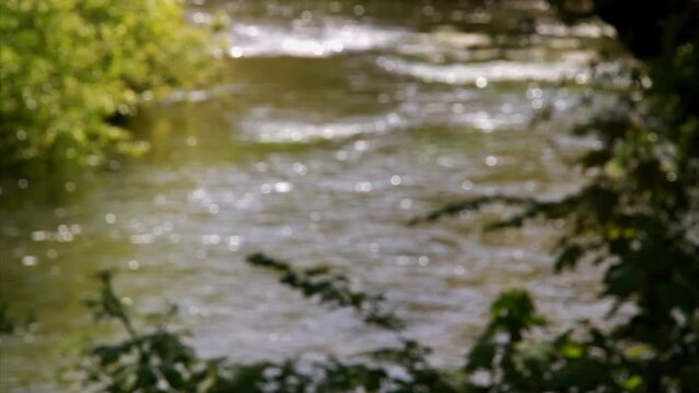 Video of blurred or defocussed  surface of a river on a sunny day.