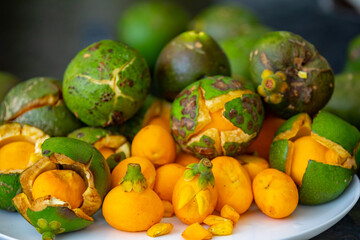 Typical ripe pequi fruit (caryocar brasiliense) in fine details and selective focus. Typical fruit from the Brazilian cerrado bioama.