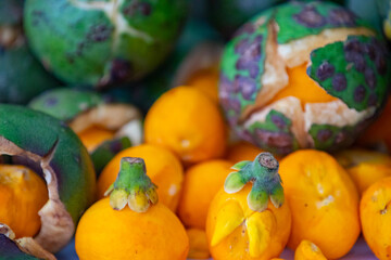 Typical ripe pequi fruit (caryocar brasiliense) in fine details and selective focus. Typical fruit from the Brazilian cerrado bioama.