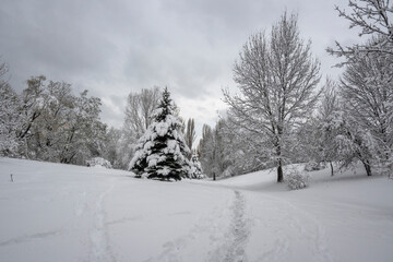 Winter Landscape of South Park in city of Sofia, Bulgaria