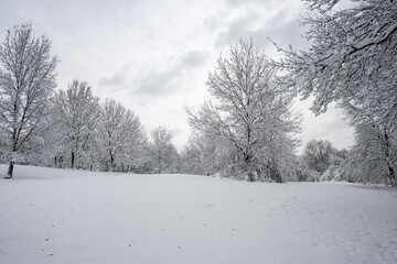 Fototapeta premium Winter Landscape of South Park in city of Sofia, Bulgaria
